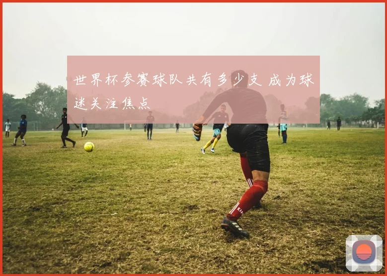 世界杯参赛球队共有多少支 成为球迷关注焦点