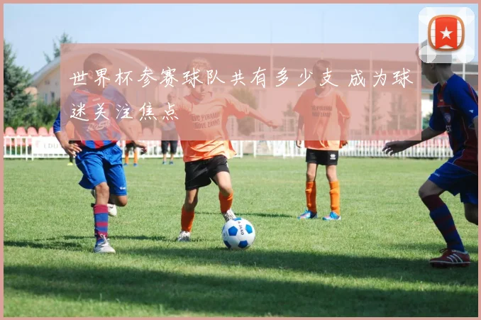 世界杯参赛球队共有多少支 成为球迷关注焦点