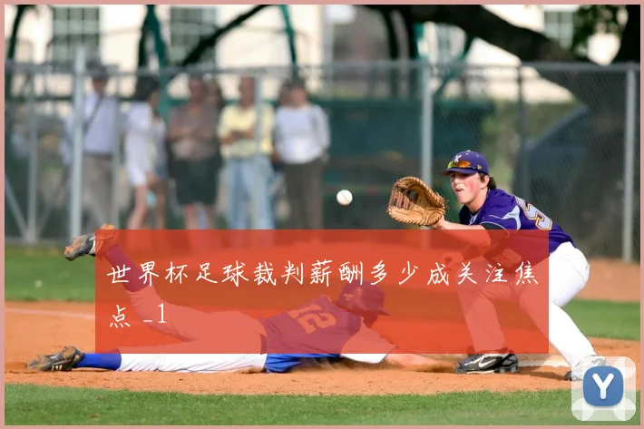 世界杯足球裁判薪酬多少成关注焦点 _1